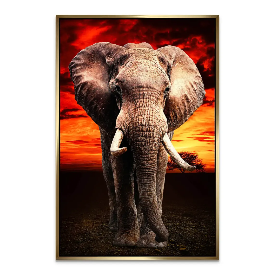 Majestät der Savanne im Abendrot Alu Dibond Bild INGALERIE