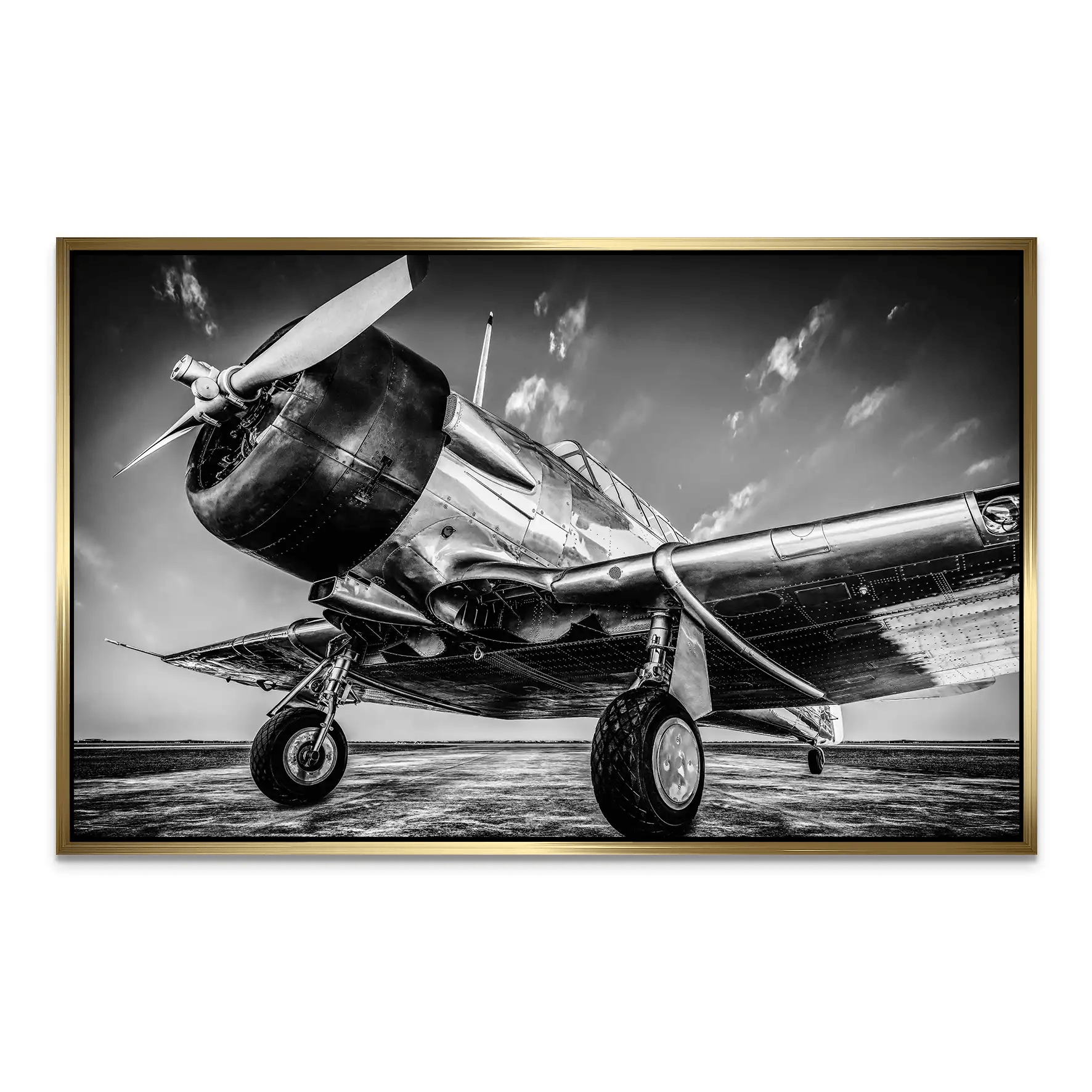 Vintage Proppeller Flugzeug AluDibond Bild INGALERIE