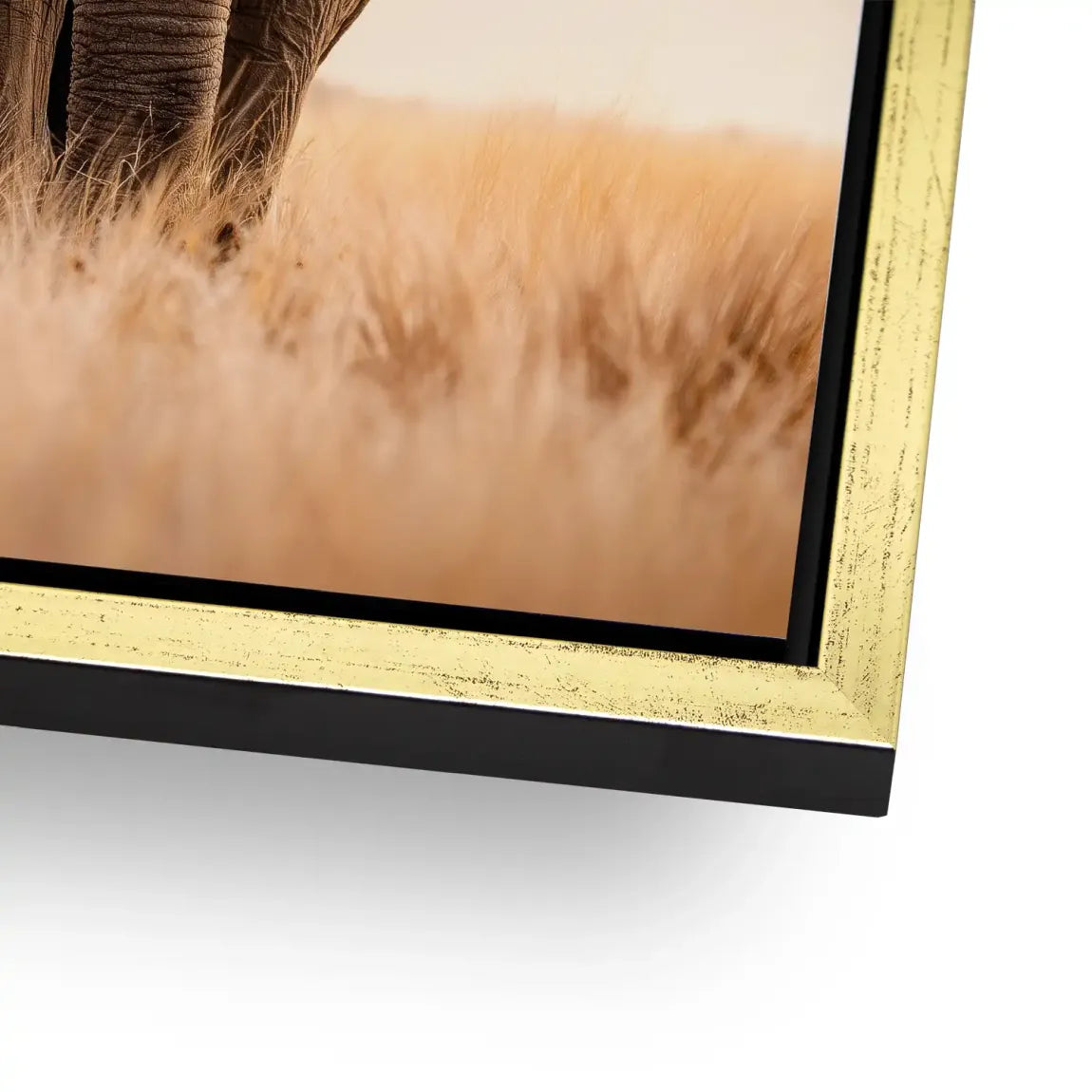 Savanne Elefant Alu Dibond Wandbild