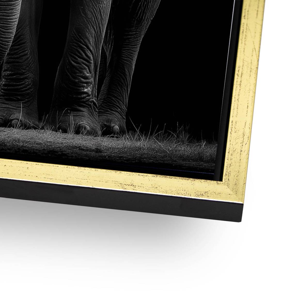 Black Elefant Alu Dibond Wandbild