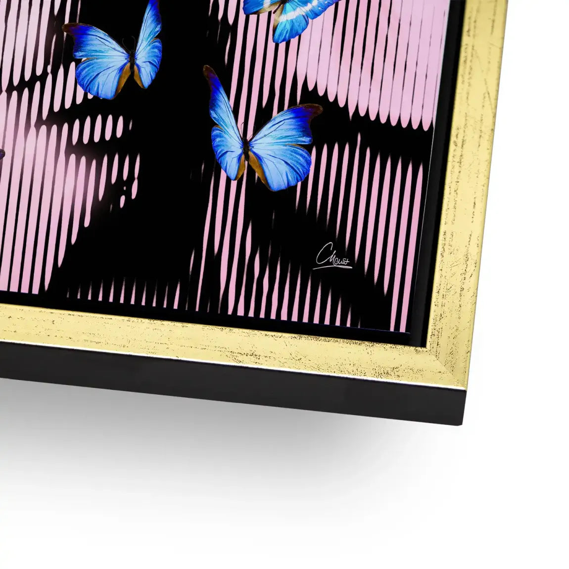 Silent Butterfly Alu Dibond Bild INGALERIE