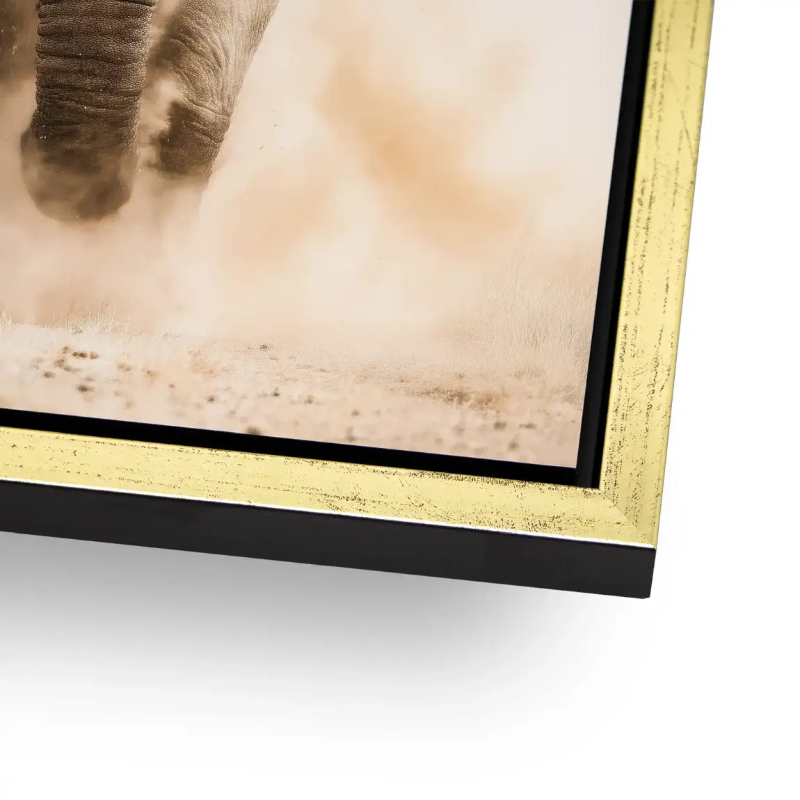 Emperor of the Savannah Alu Dibond Bild INGALERIE
