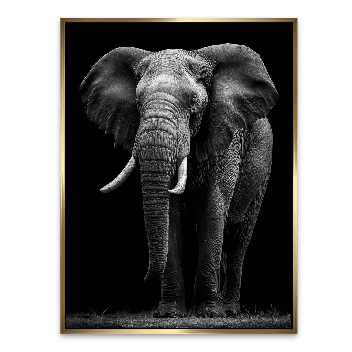 Black Elefant Alu Dibond Wandbild