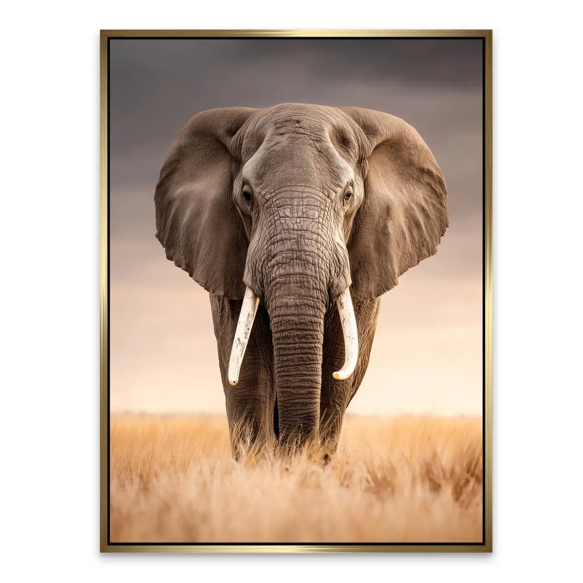 Savanne Elefant Alu Dibond Wandbild