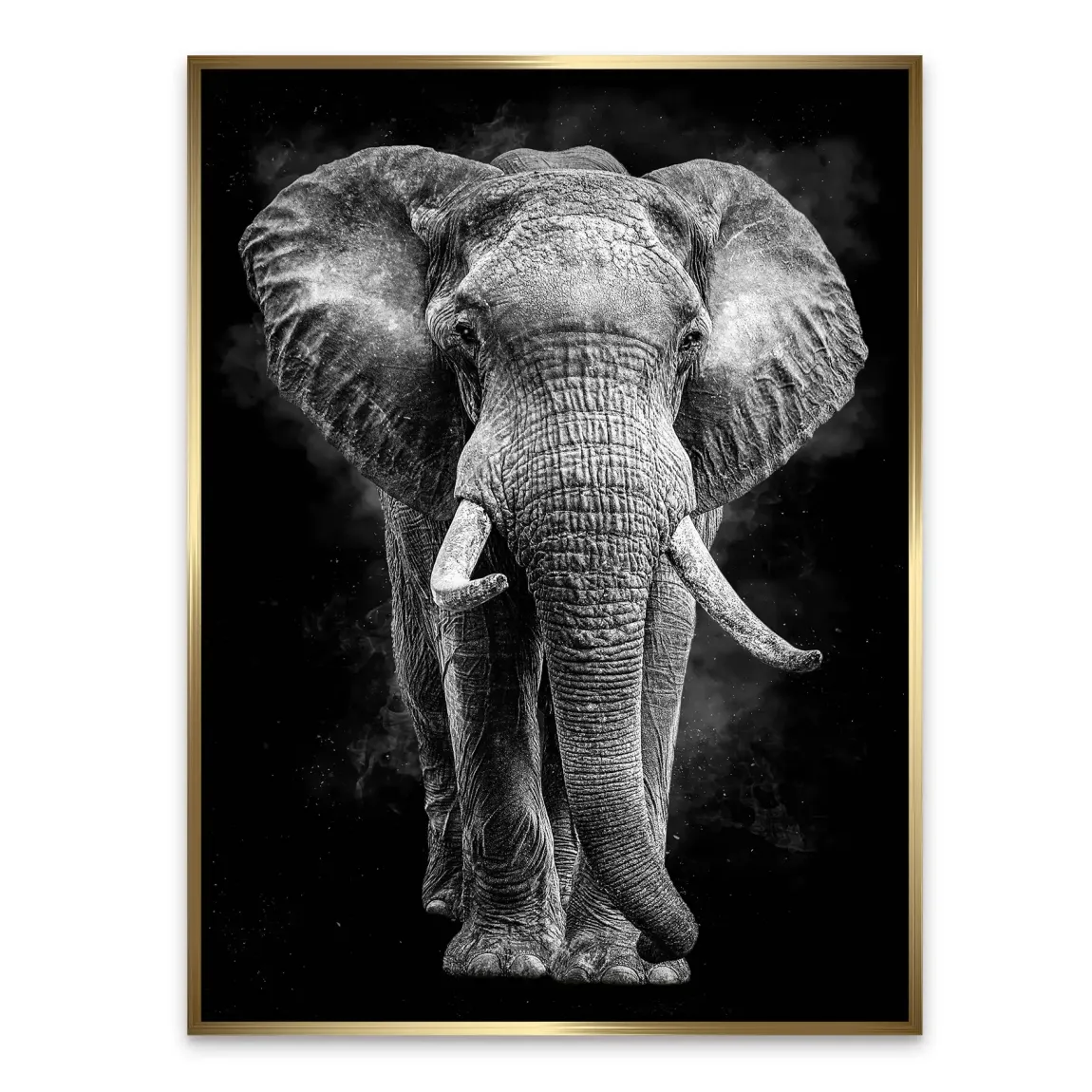 Elefant Noir Alu Dibond Wandbild
