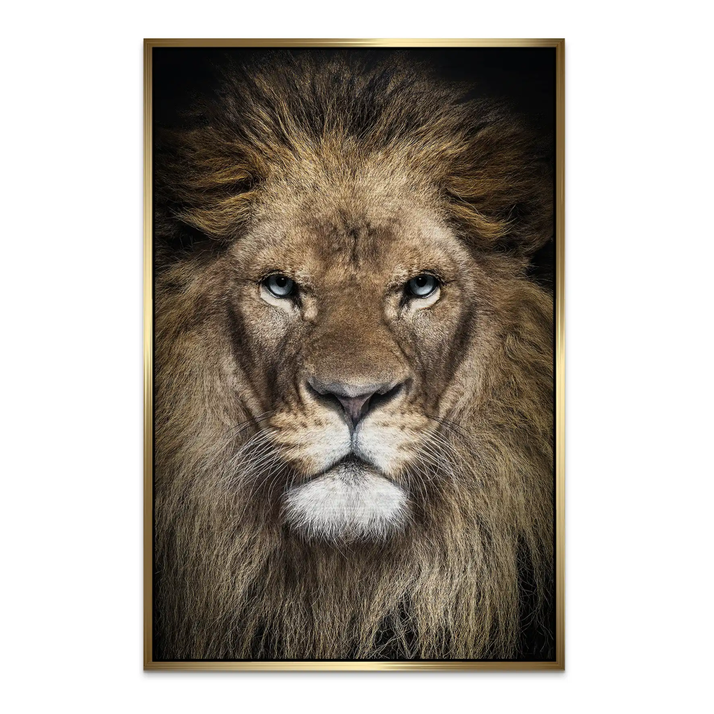 Lion Portrait AluDibond Gebürstet INGALERIE
