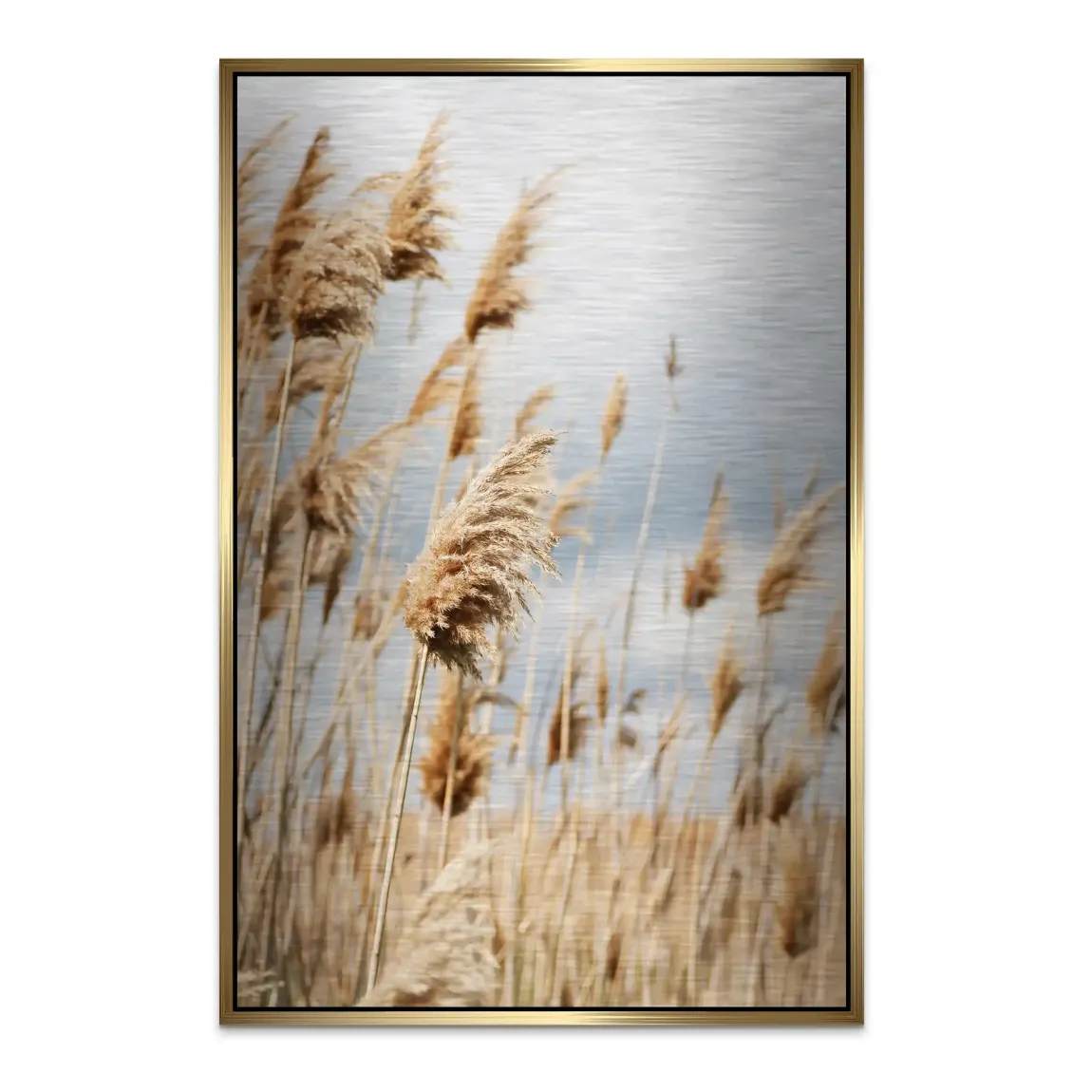 Whispering Reeds Alu Dibond Bild gebürstet - INGALERIE | Dein Onlineshop für moderne Wandbilder