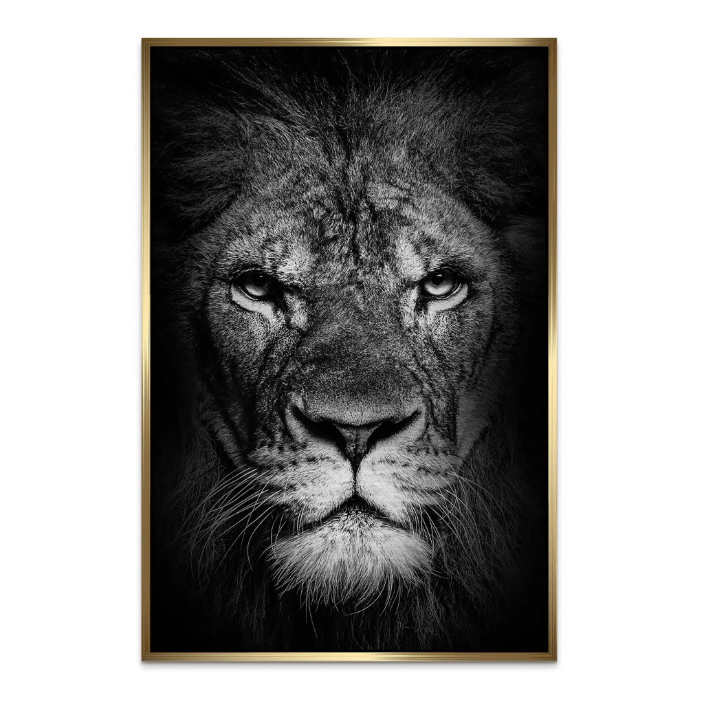 Lion Head AluDibond Gebürstet INGALERIE