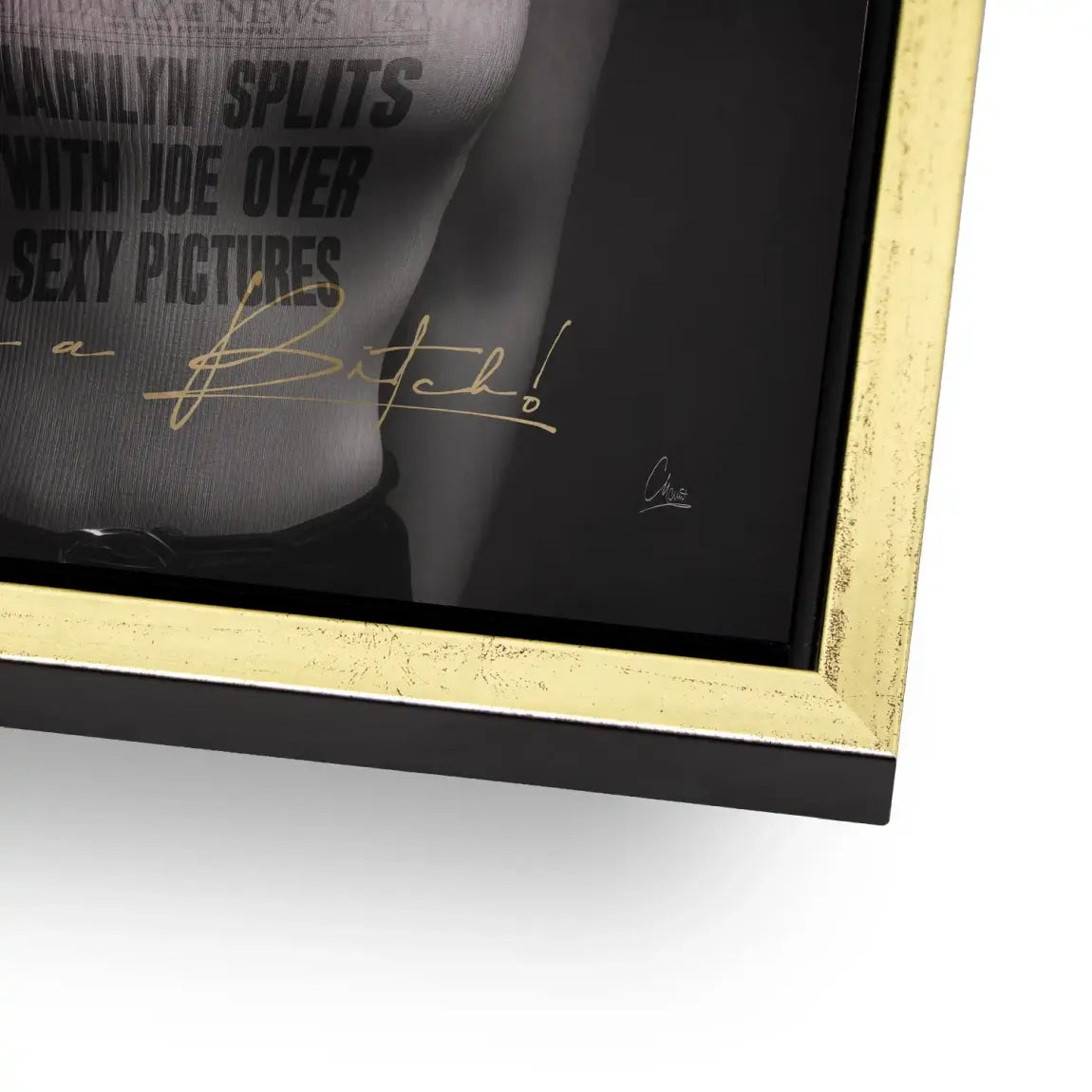 Marilyn Skandal Alu Gebürstet Bild