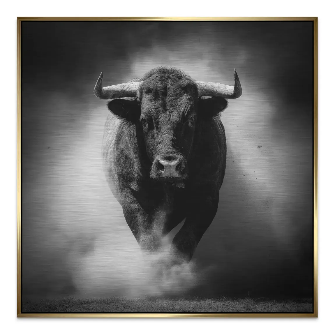 Stier Noir Aluminiumbild gebürstet