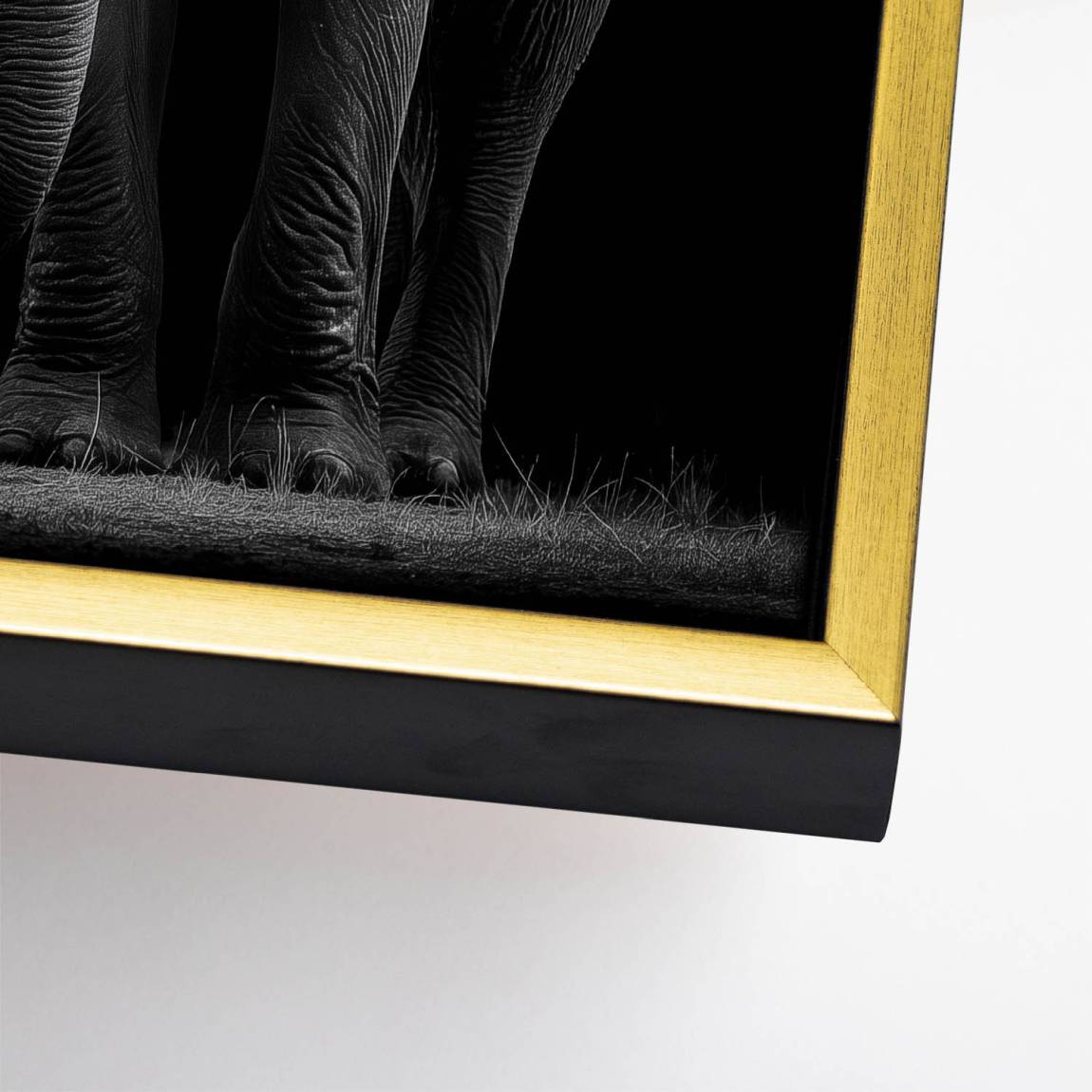 Black Elefant Leinwand Bild