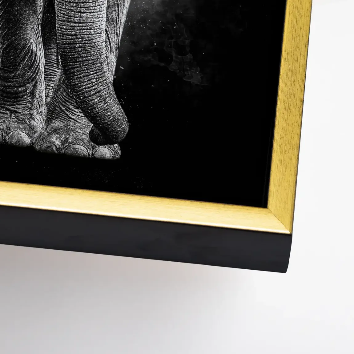 Elefant Noir Leinwand Bild