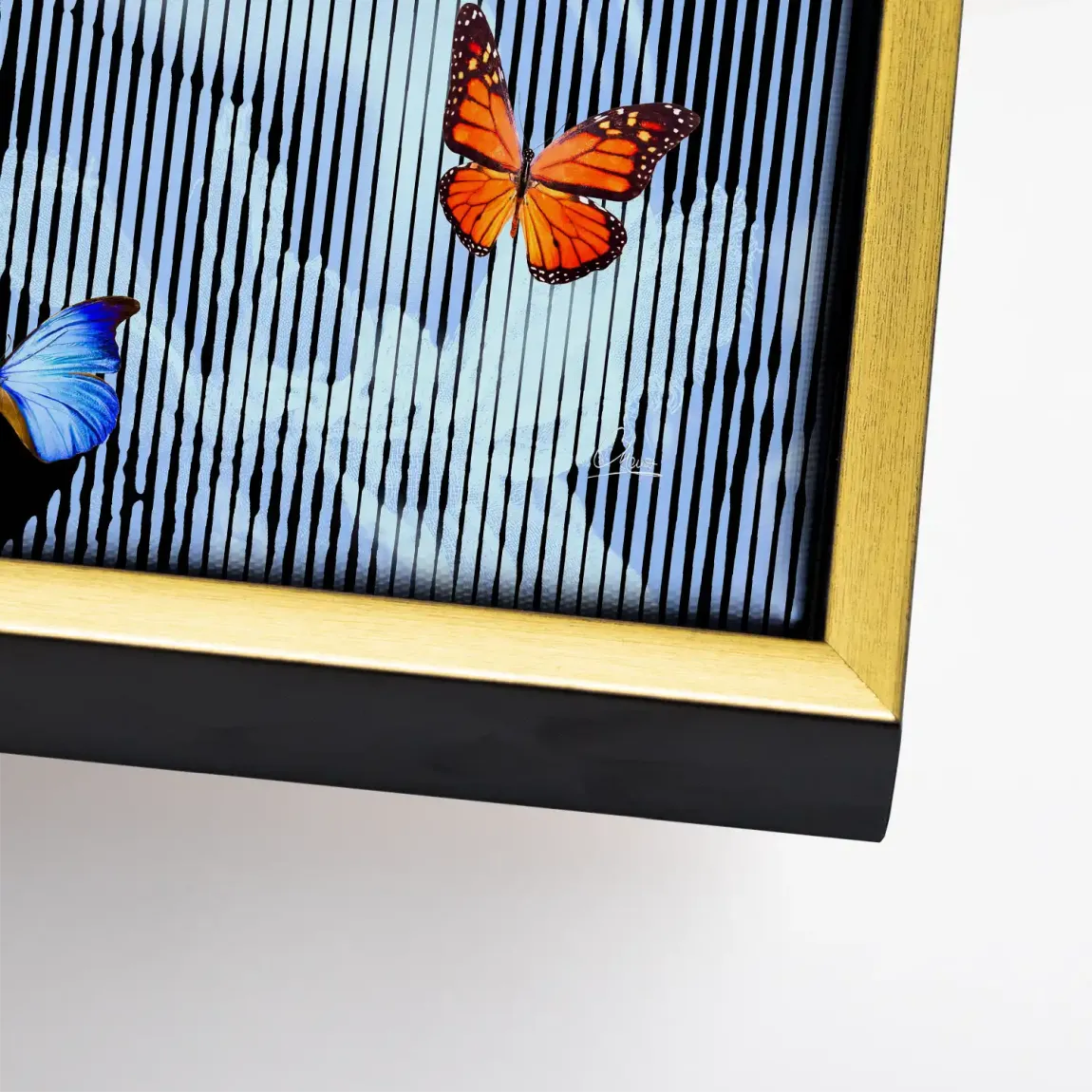 Flüstern der Schmetterlinge Leinwand Bild INGALERIE
