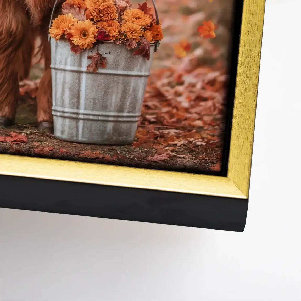 Herbstliebe Highland Leinwand Bild