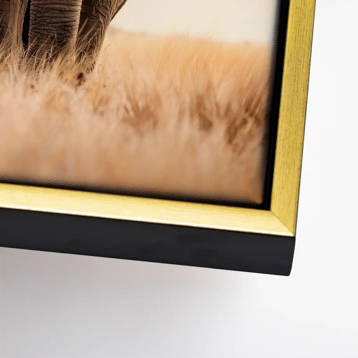 Savanne Elefant Leinwand Bild