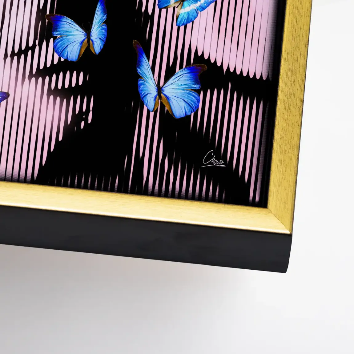 Silent Butterfly Leinwand Bild INGALERIE