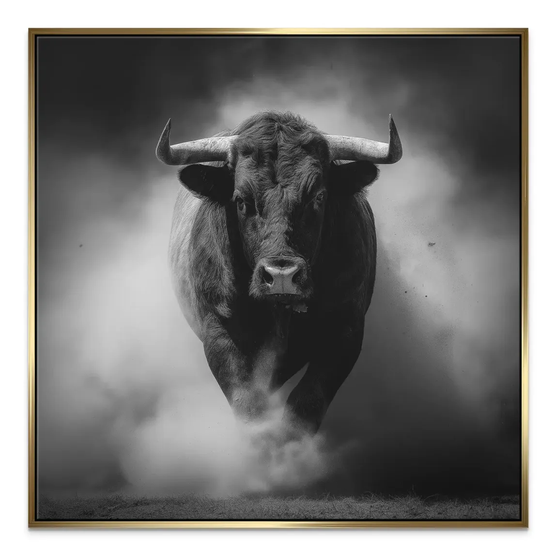Stier Noir Leinwand Bild