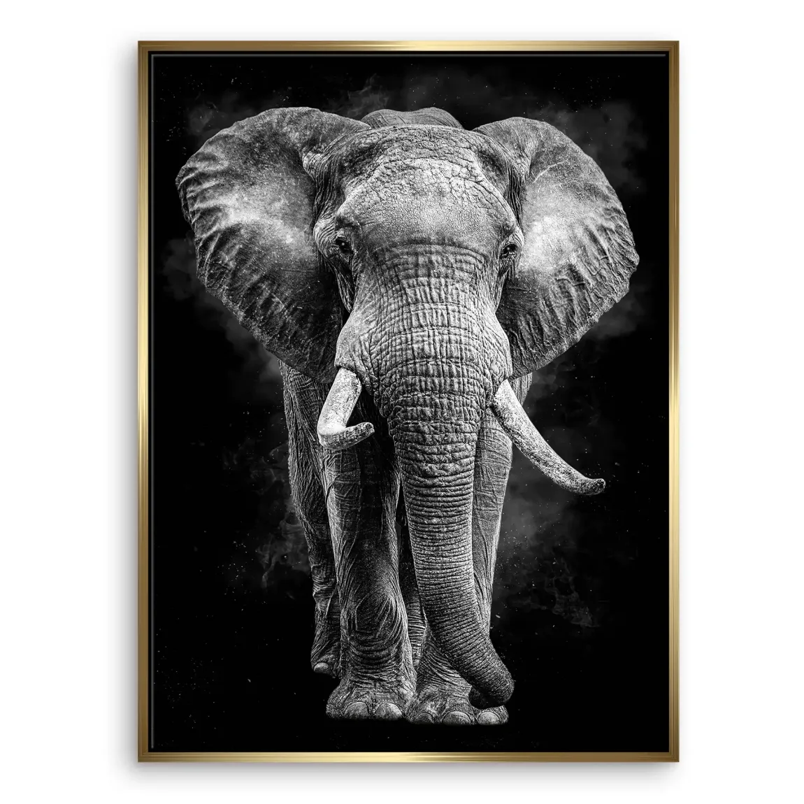 Elefant Noir Leinwand Bild