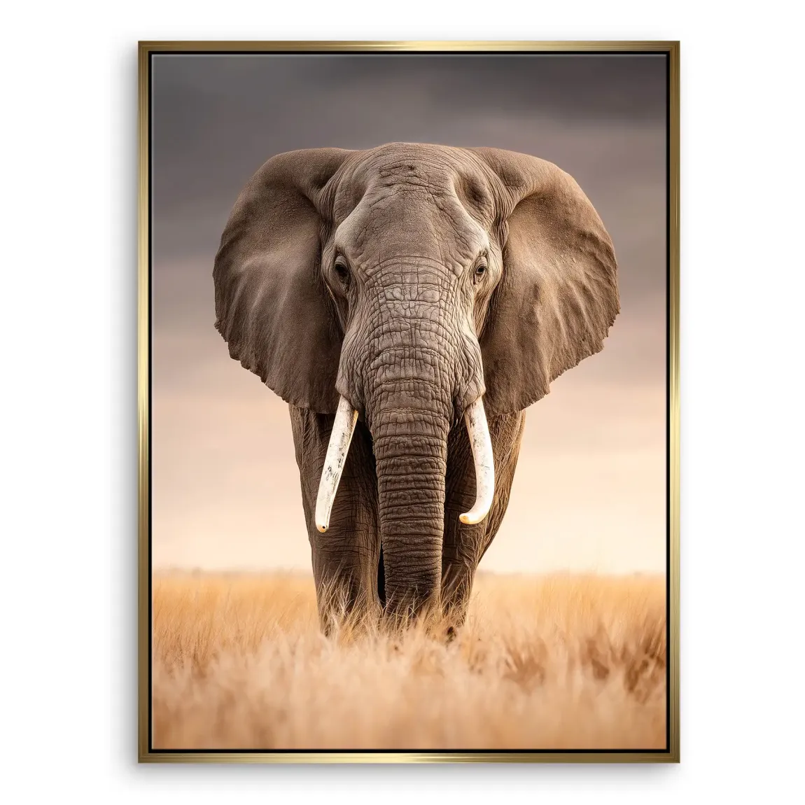Savanne Elefant Leinwand Bild