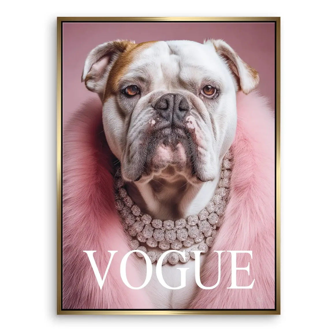 Bulldogge Vogue Leinwand Bild