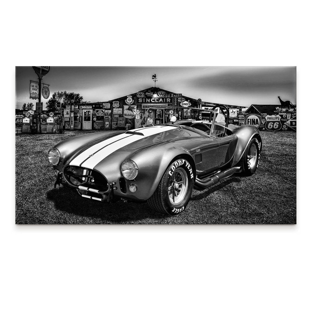 AC Cobra Abstrakt Silver Leinwand Bild INGALERIE