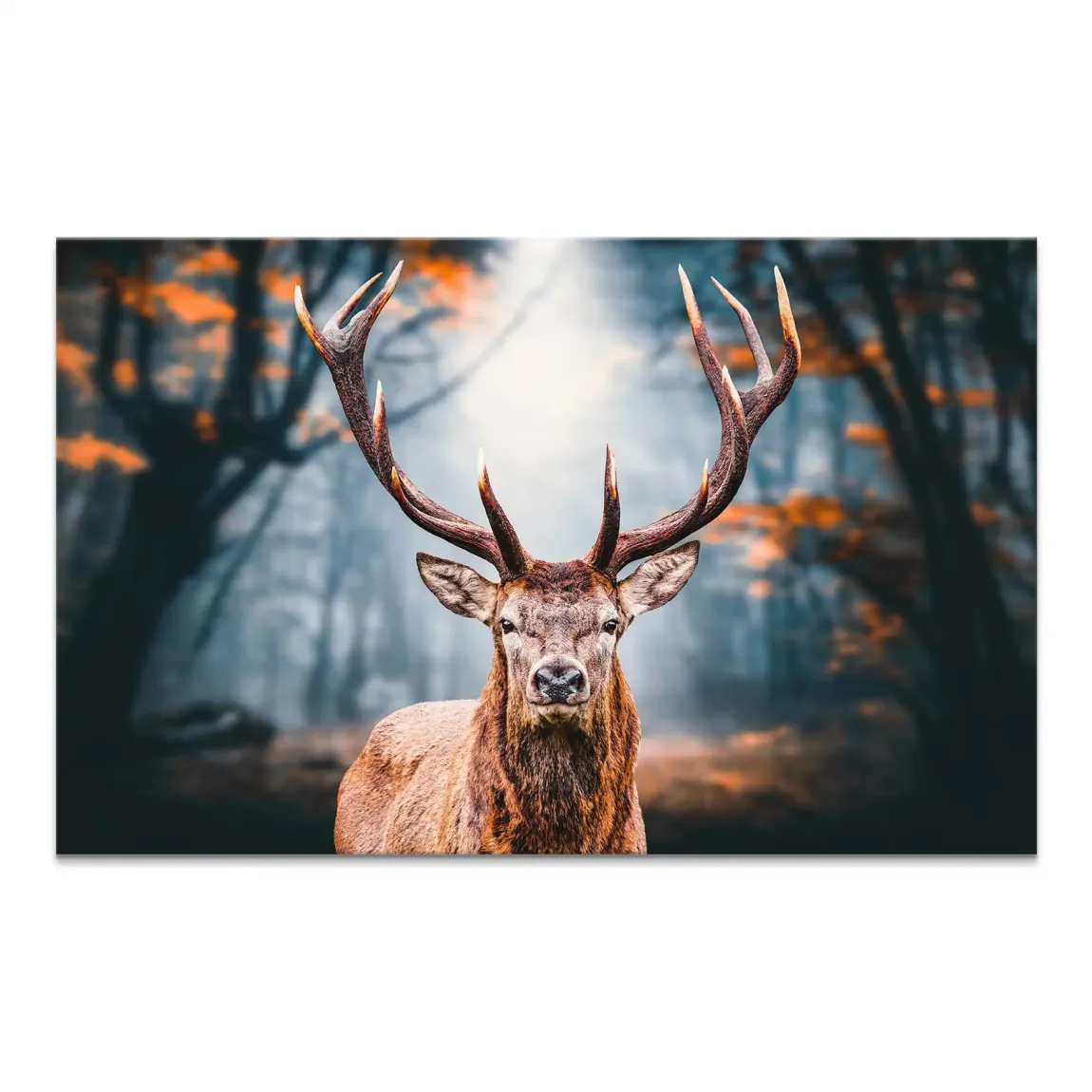 Hirsch im Wald Leinwand Bild