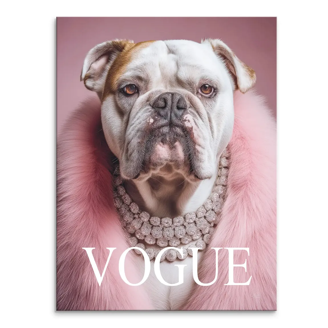 Bulldogge Vogue Leinwand Bild