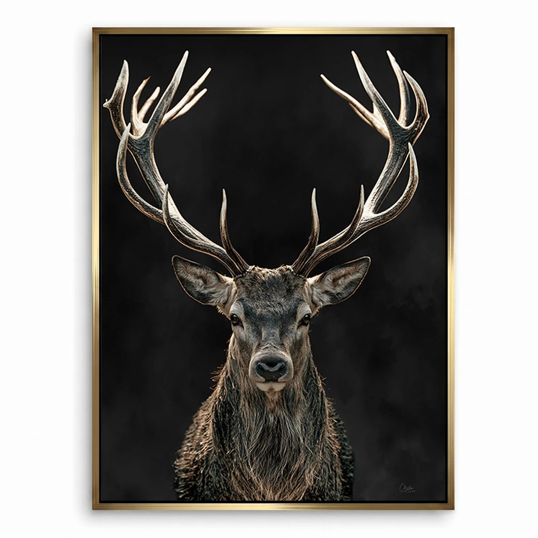 Hirsch Black Art Leinwand Bild