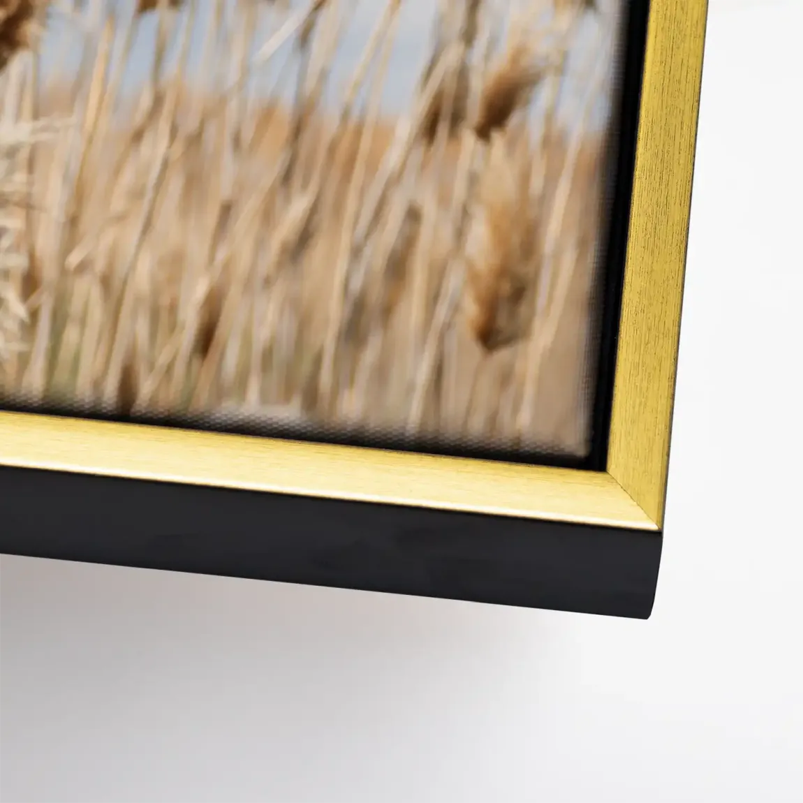 Whispering Reeds Leinwand Bild