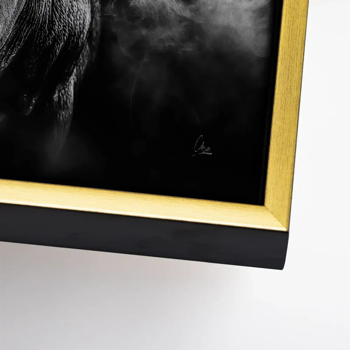 Black Bull Vision Leinwand Bild