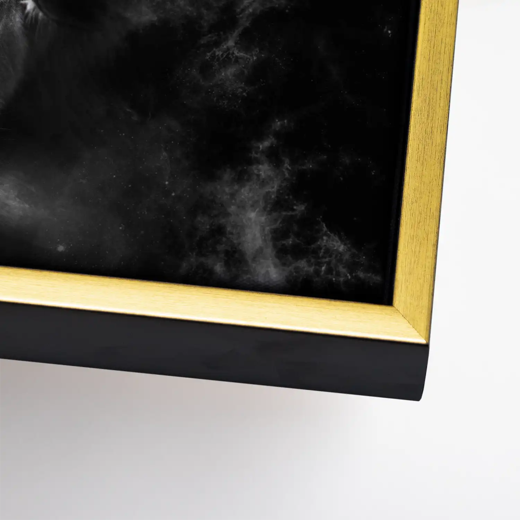 Stier Black Style Leinwand Bild INGALERIE