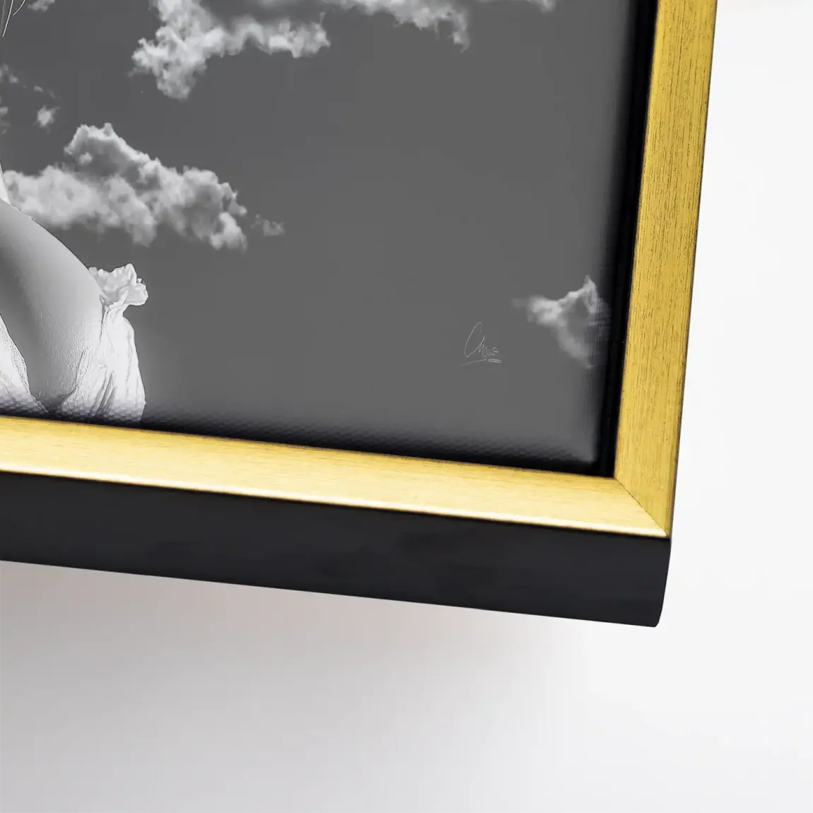 Sky Bloom Leinwand Bild