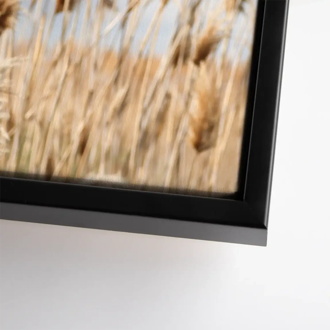 Whispering Reeds Leinwand Bild
