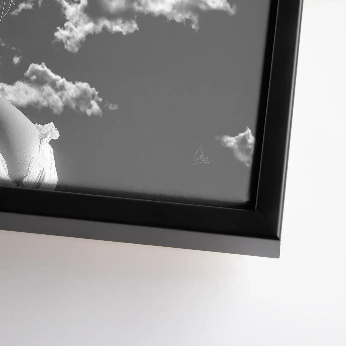 Sky Bloom Leinwand Bild