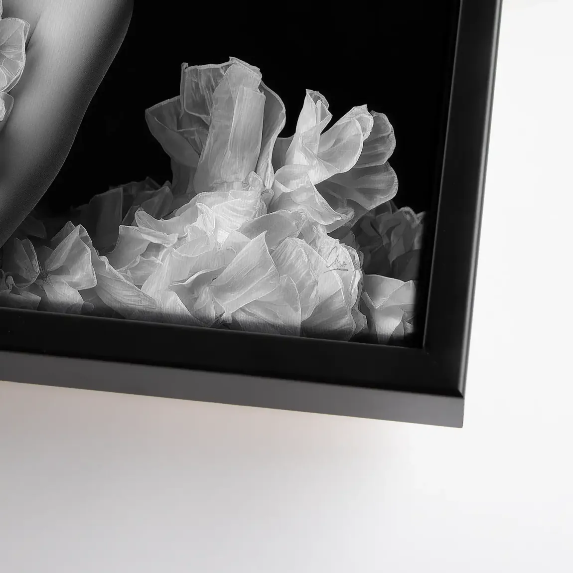 Soft Allure Erotik Leinwand Bild