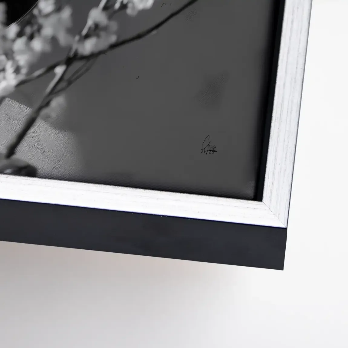 Velvet Muse Leinwand Bild