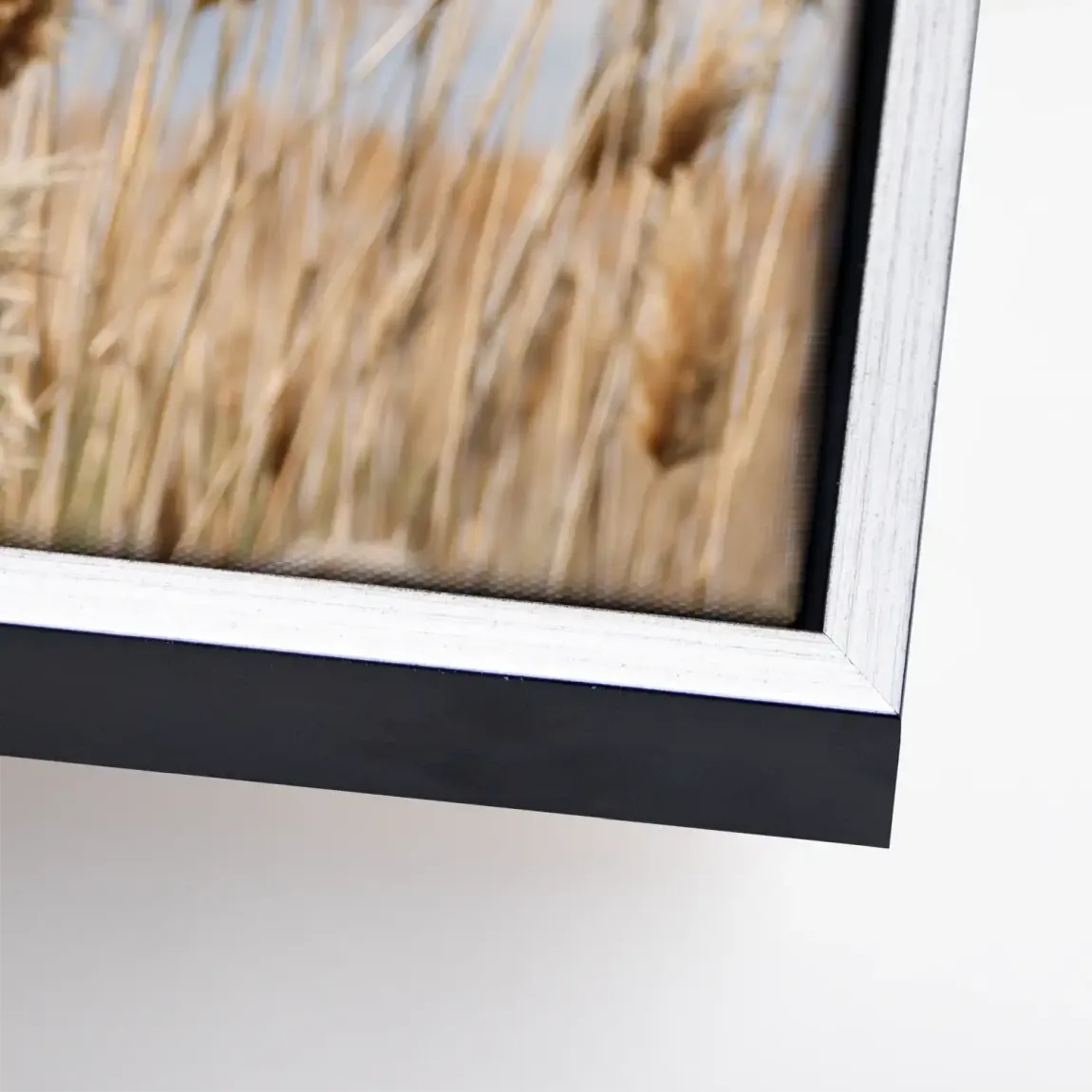 Whispering Reeds Leinwand Bild