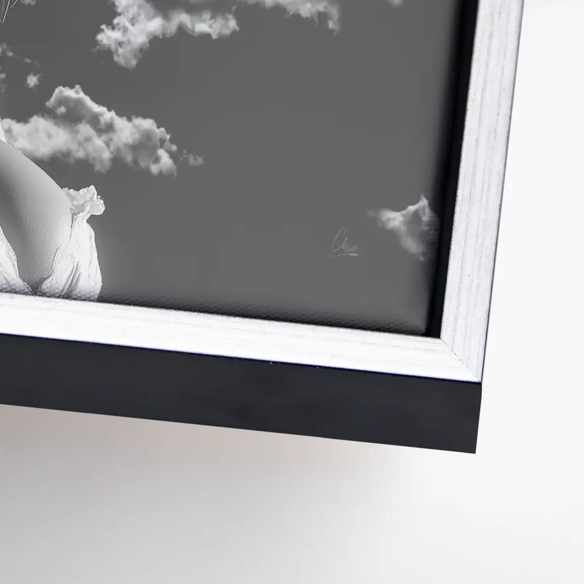 Sky Bloom Leinwand Bild