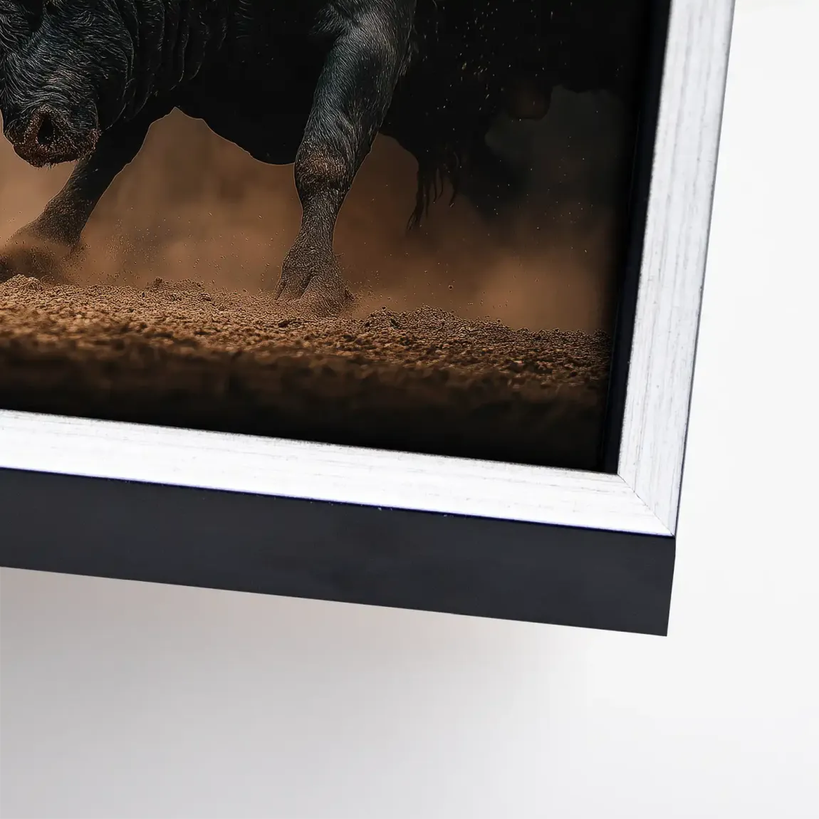 Bulls of Valor Leinwand Bild