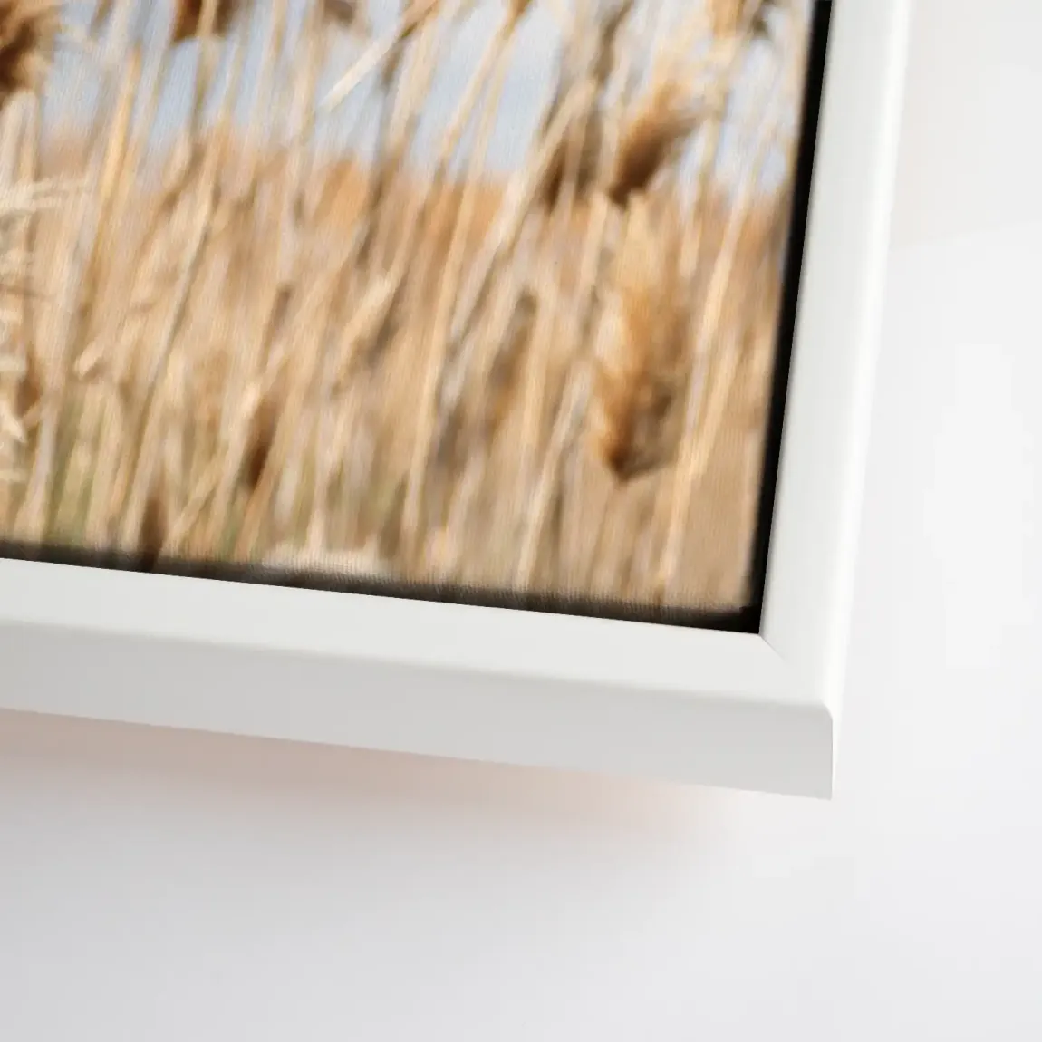 Whispering Reeds Leinwand Bild