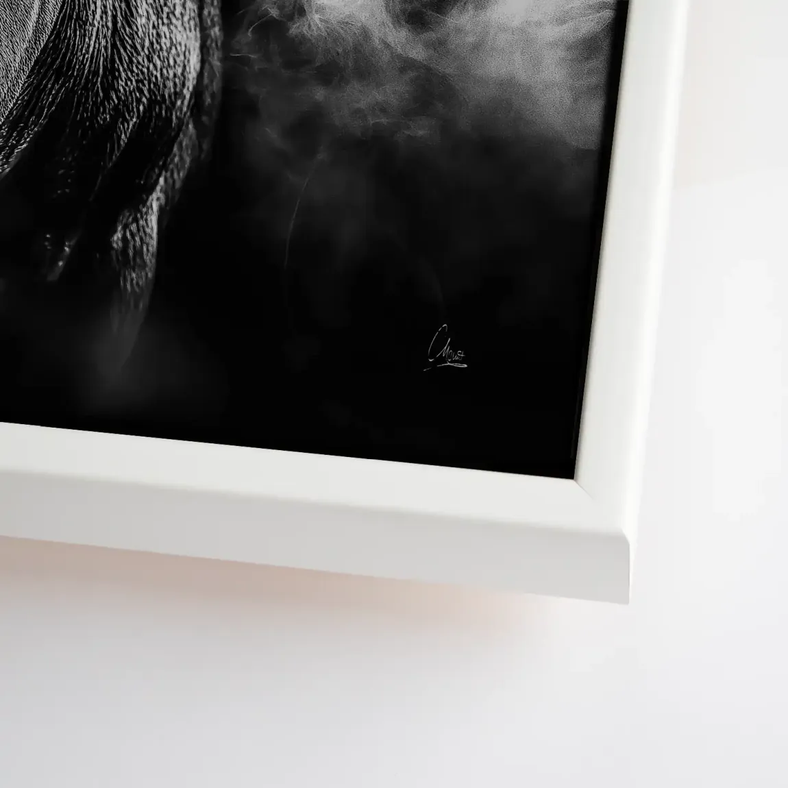 Black Bull Vision Leinwand Bild