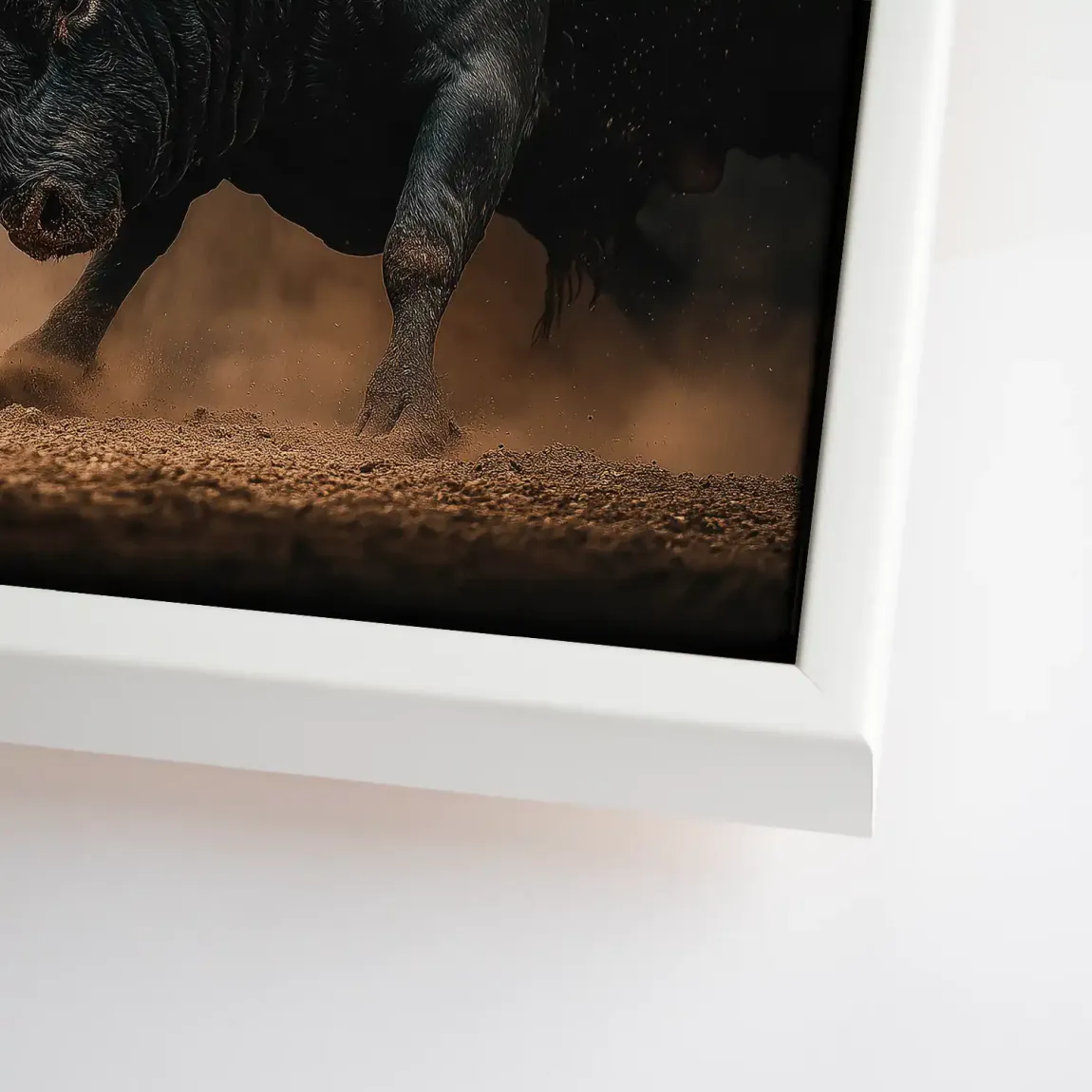 Bulls of Valor Leinwand Bild