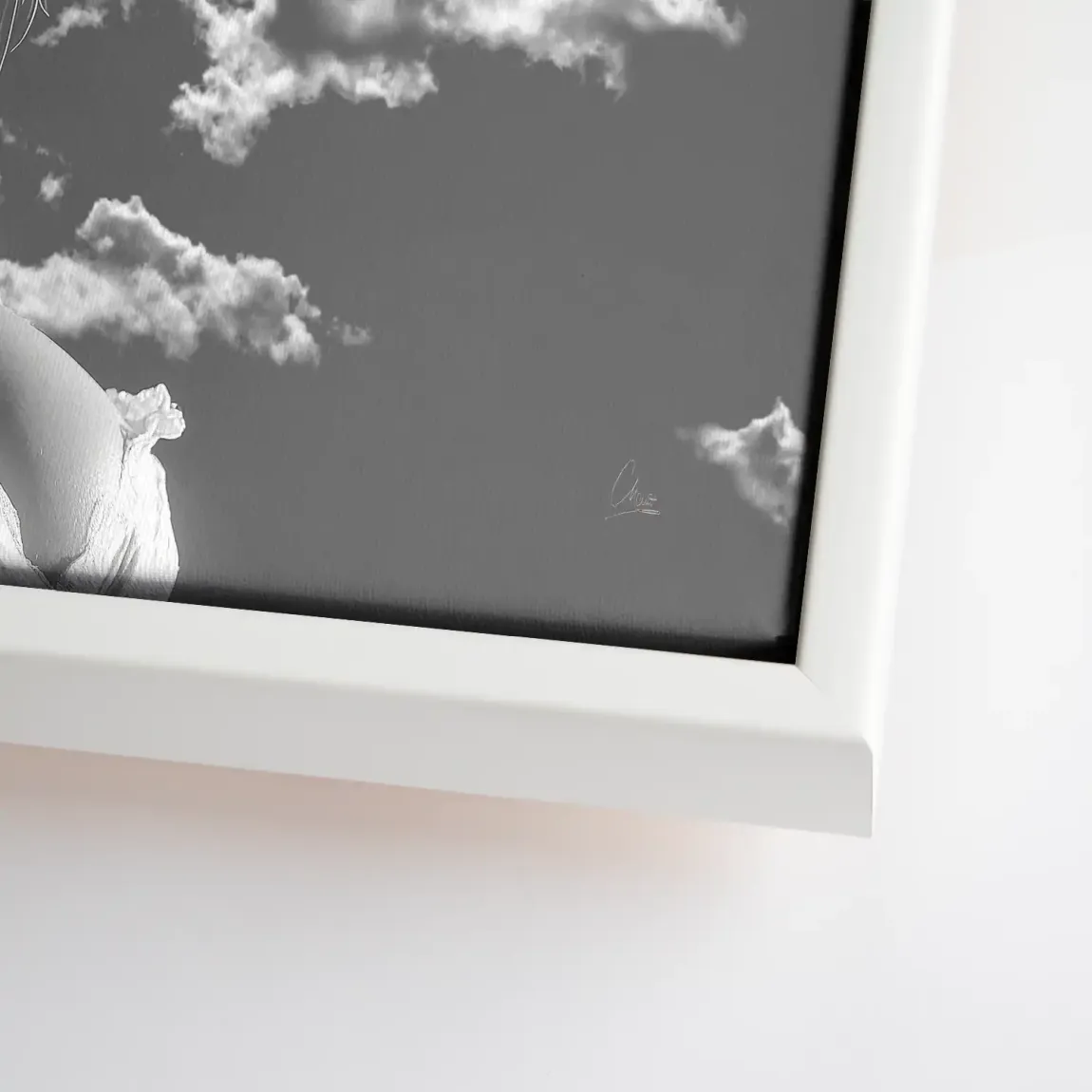 Sky Bloom Leinwand Bild