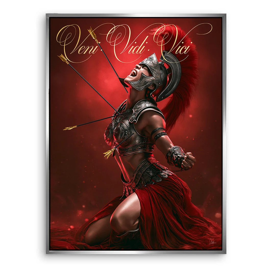 Veni Vidi Vici Gladiatorin Leinwand Bild