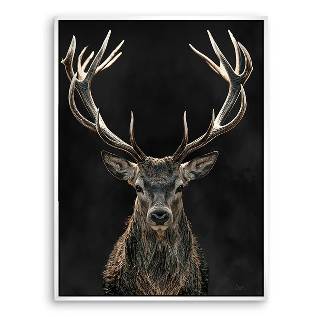 Hirsch Black Art Leinwand Bild