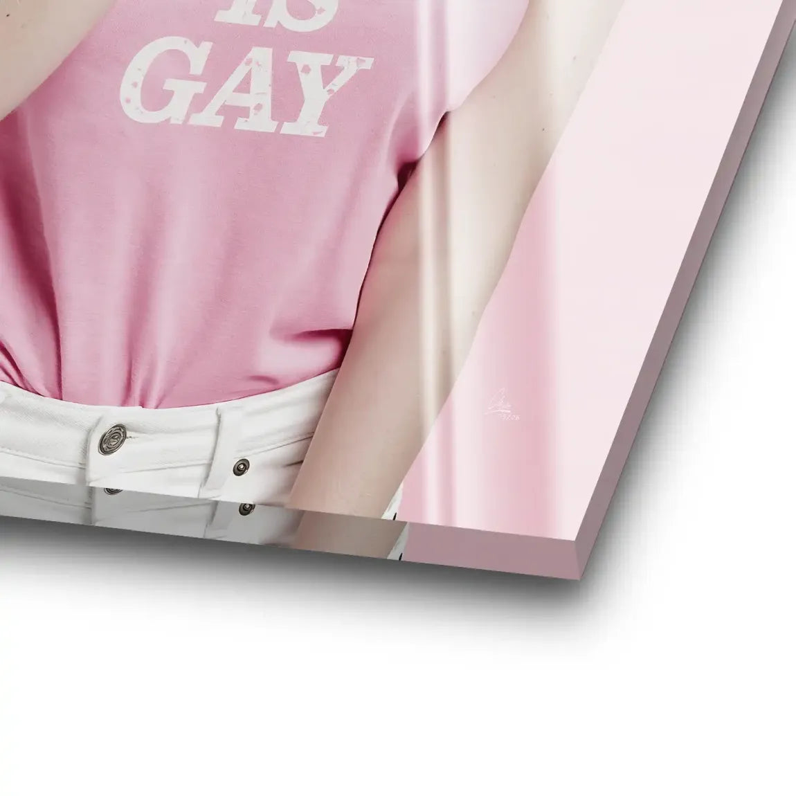 Marilyn Monroe Ken is Gay Acrylglasbild