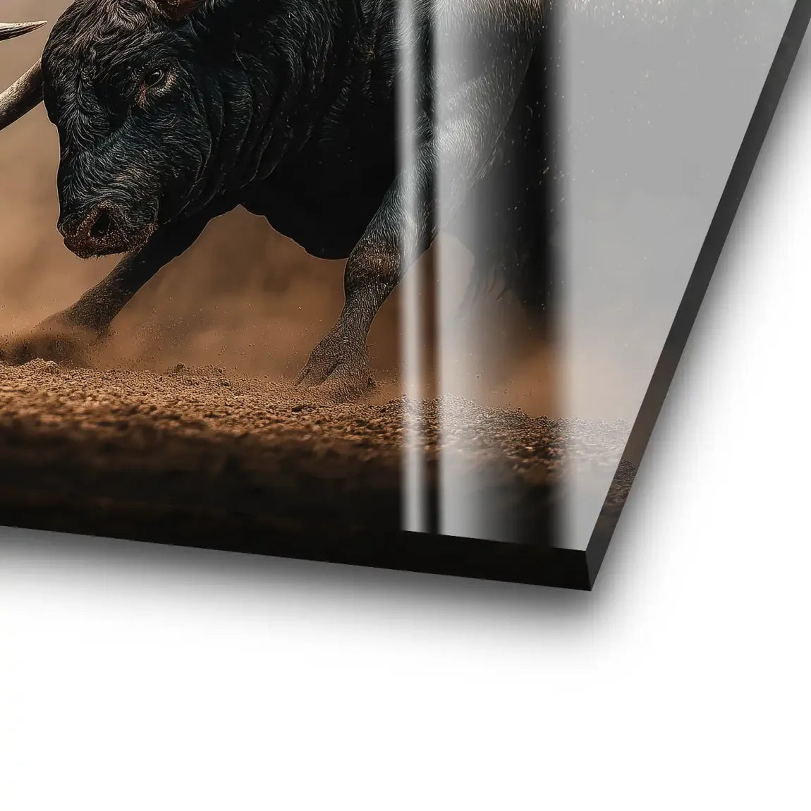 Bulls of Valor Acrylglas Bild