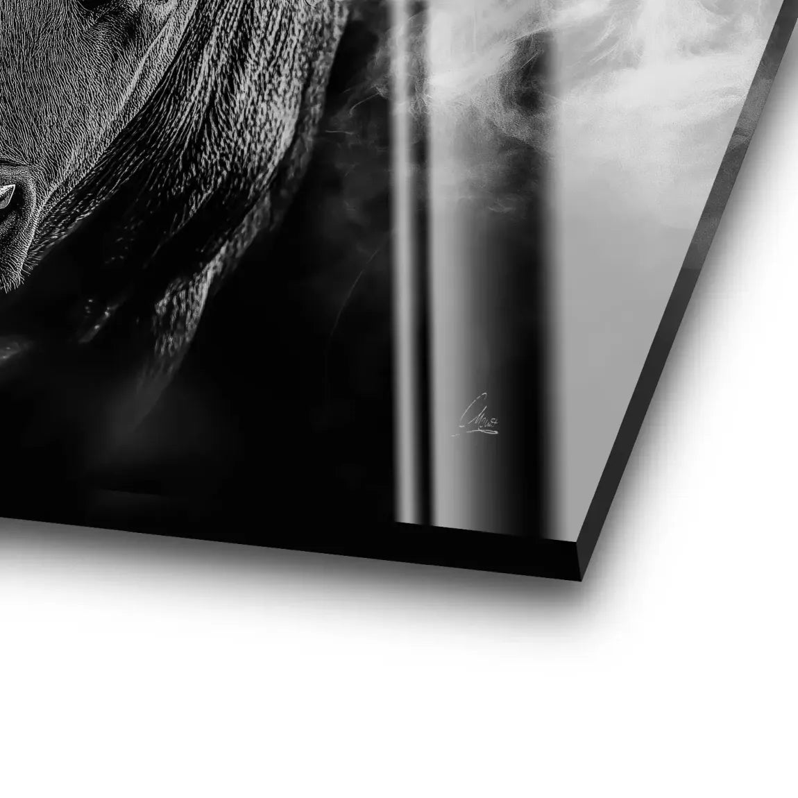 Black Bull Vision Acrylglas Bild