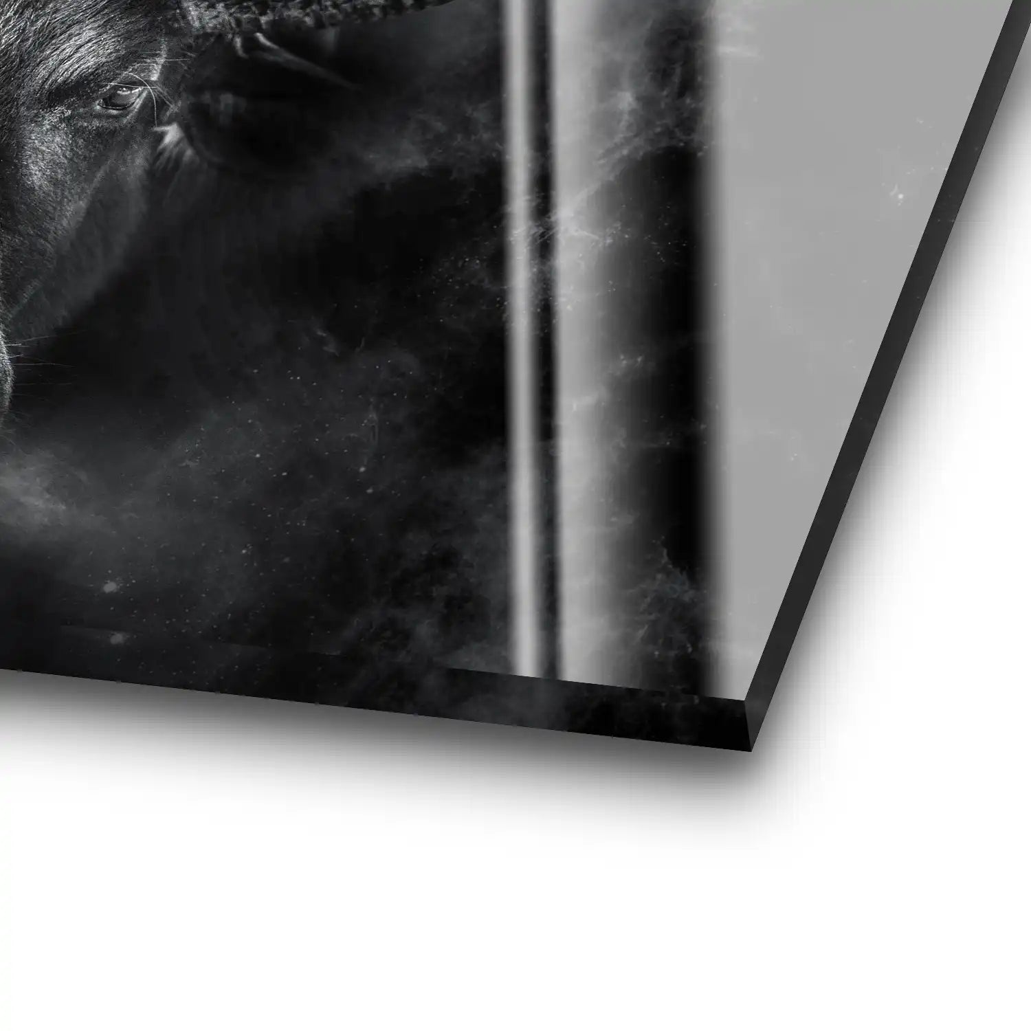 Stier Dark Style Acrylglas Bild INGALERIE