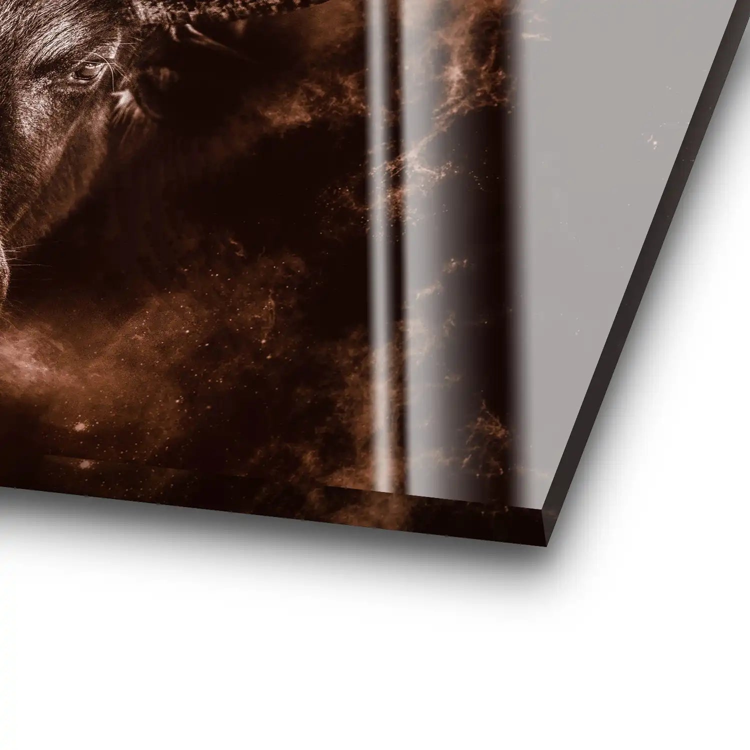 Stier Retro Style Acrylglas Bild INGALERIE